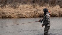 Full Day Guided Private Walk Wade Fly Fishing at Jackson Hole