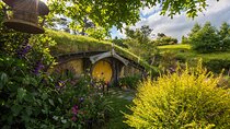 Auckland Private Hobbiton Movie Set and Waitomo Caves Day Tour