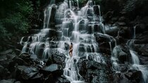 Ubud Monkey Forest, Kanto Lampo Waterfall,Temple & Rice Terraces
