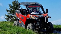 Istra Buggy Safari 