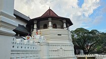 Kandy Full Day Tour Private All Inclusive 