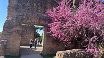 Colosseum Guided Tour with Audio Guide Option 