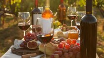 From Tirana Wine Tasting and Kayak Tour with Lunch 