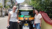 Fort Kochi Tuk-Tuk Sightseeing Tour with Local Guide
