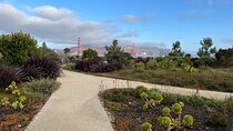 Iconic San Francisco Urban Hiking Tour