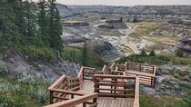1 Day of Drumheller Dinosaurs and Badlands in Private Custom Tour