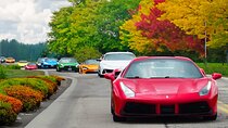 3 Hour Exotic car Tour driving 4 to 5 Super cars