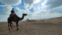 Experience Cairo Private Grand Egyptian Museum and Giza Pyramids