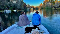 Rainbow River: 8AM & 3PM Snorkel or Scenic Wildlife Cruise