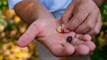 The Coffee Trail and Wildlife Experience 
