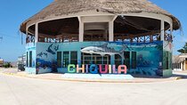 Private Transportation Cancun Airport to Chiquilá Holbox