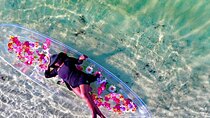 Miami/South Beach Clear Kayak Photo Shoot