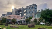 Tokyo Full-Day Private Tour (Customizable)