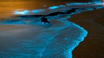 Bioluminescent Plankton, Sea Canoes & Sunset at James Bond Island