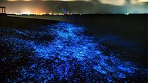 Bioluminescent Plankton, Sea Canoes & Sunset at James Bond Island