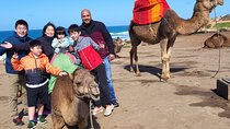 Tangier Tour with 6-Hour Private Tour 