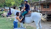 Horseback Riding and Wine Tasting