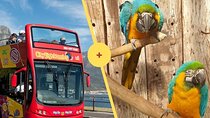 Cape Town Hop-on Hop-off & World of Birds Combo