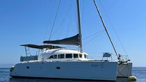 Catamaran Sailing Experience Manilva Dolphins Tapas and Welcome Drink