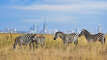 Nairobi Langata Road Shared Tour Excursion with Transportation