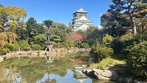 Osaka Tour in Spanish Visit the Must See Places