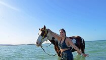 3 Hours Horse Riding Beach, Desert & Swimming By Horse - Hurghada