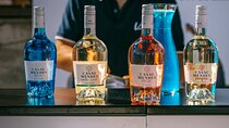 Private Tour DE wine tasting