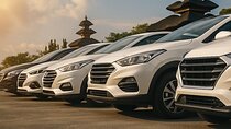 Bali Rent Car ( 1 Day )