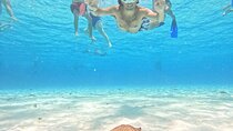 Excursion to Cozumel from Cancun