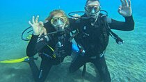 Diving experience in Tenerife