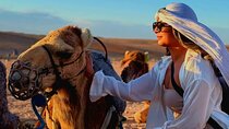 Marrakech: Camels & Quads on Sunset and Private Dinner with Show