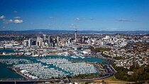 Auckland City and Native Kiwi Encounter Small Group Tour