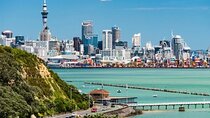 Half-Day Auckland City Tour – The City of Sails Uncovered