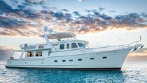 Dubai Xclusive Superyacht Brunch with Iconic Sights Tour