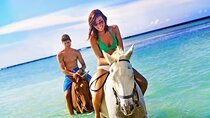 Jamaica Horse Ride Tour with Lunch and Shopping