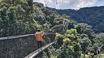 Experience Private Tour in Kigali to Nyungwe National Park