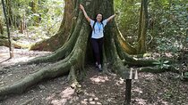 Cantareira Park Eco Tour: Nature, Hike & Lookout