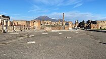 Private Pompeii Tour from Naples