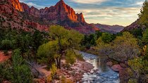Zion National Park Full-Day Insider Tour