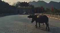 Ninh Binh Day Escape from Hanoi: Local Life, Connection & Tales