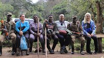 3 Day Gorilla Trekking Tour to Bwindi Forest Uganda