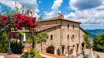 Organic Wine and Gourmet experience in Tuscany Chianti hills
