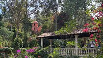 Private Tour: Botanical Garden, Petroglyphs & Mexican Food