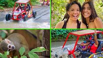 Double Adventure: Monkeys Plus Drive a 4x4 Buggy 