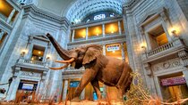 American and Natural History in One Day