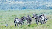 Day trip to Hells Gate and Lake Naivasha From Nairobi