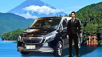 Hakone Private Customized Day Tour