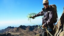  Mount Kenya 4WD Adventure from Nairobi