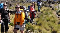 Mount Kenya National Park Full Day Hike