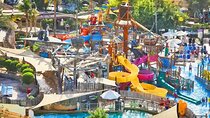 Wild Wadi Waterpark with Private Transportation